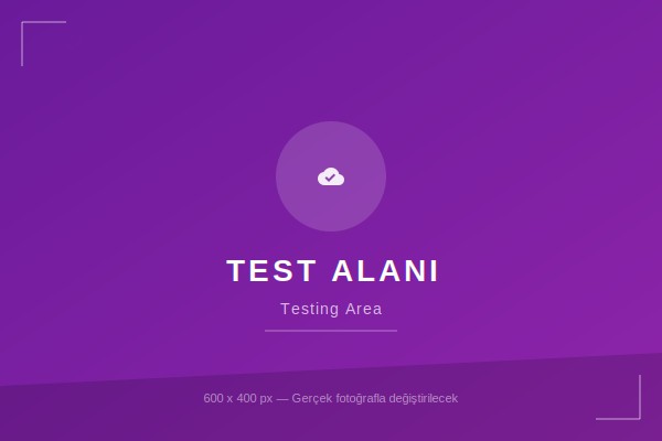 Test Alanı